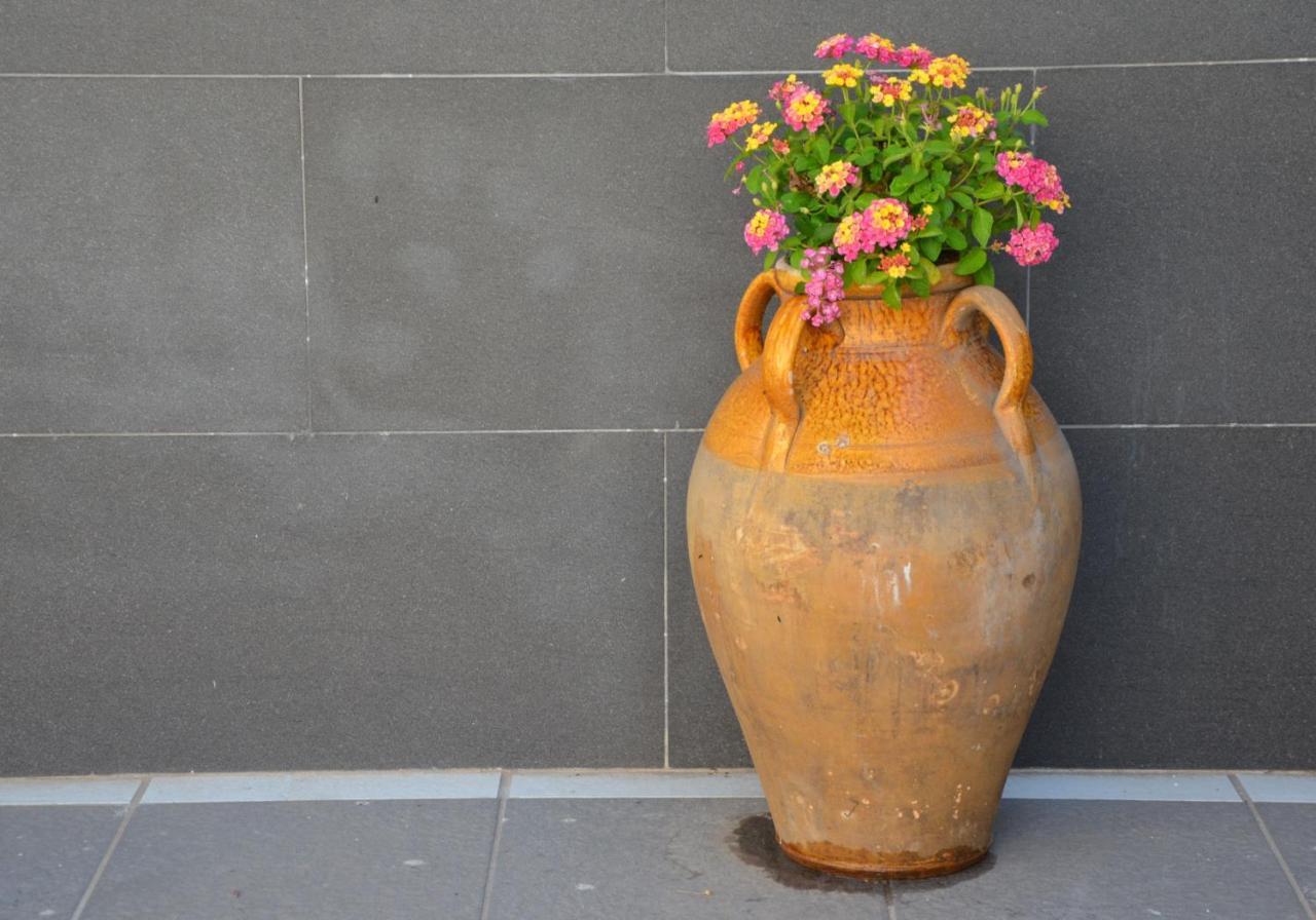 مبيت وإفطار بوسكوريليه Rosa Vesuviana المظهر الخارجي الصورة