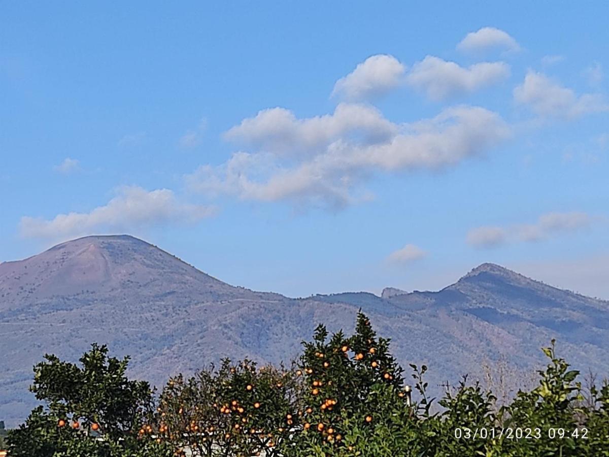 مبيت وإفطار بوسكوريليه Rosa Vesuviana المظهر الخارجي الصورة
